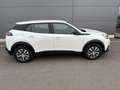 Peugeot e-2008 1 Blanc - thumbnail 5