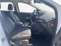 Ford Kuga Titanium TDCi 120 PS Weiß - thumbnail 15