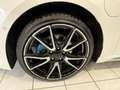 Kia Optima Platin Hybrid Weiß - thumbnail 22