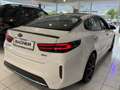 Kia Optima Platin Hybrid Weiß - thumbnail 6