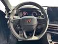 CUPRA Terramar VZ 2.0 TSI 195 kW (265 PS) 7-Gang Paars - thumbnail 14
