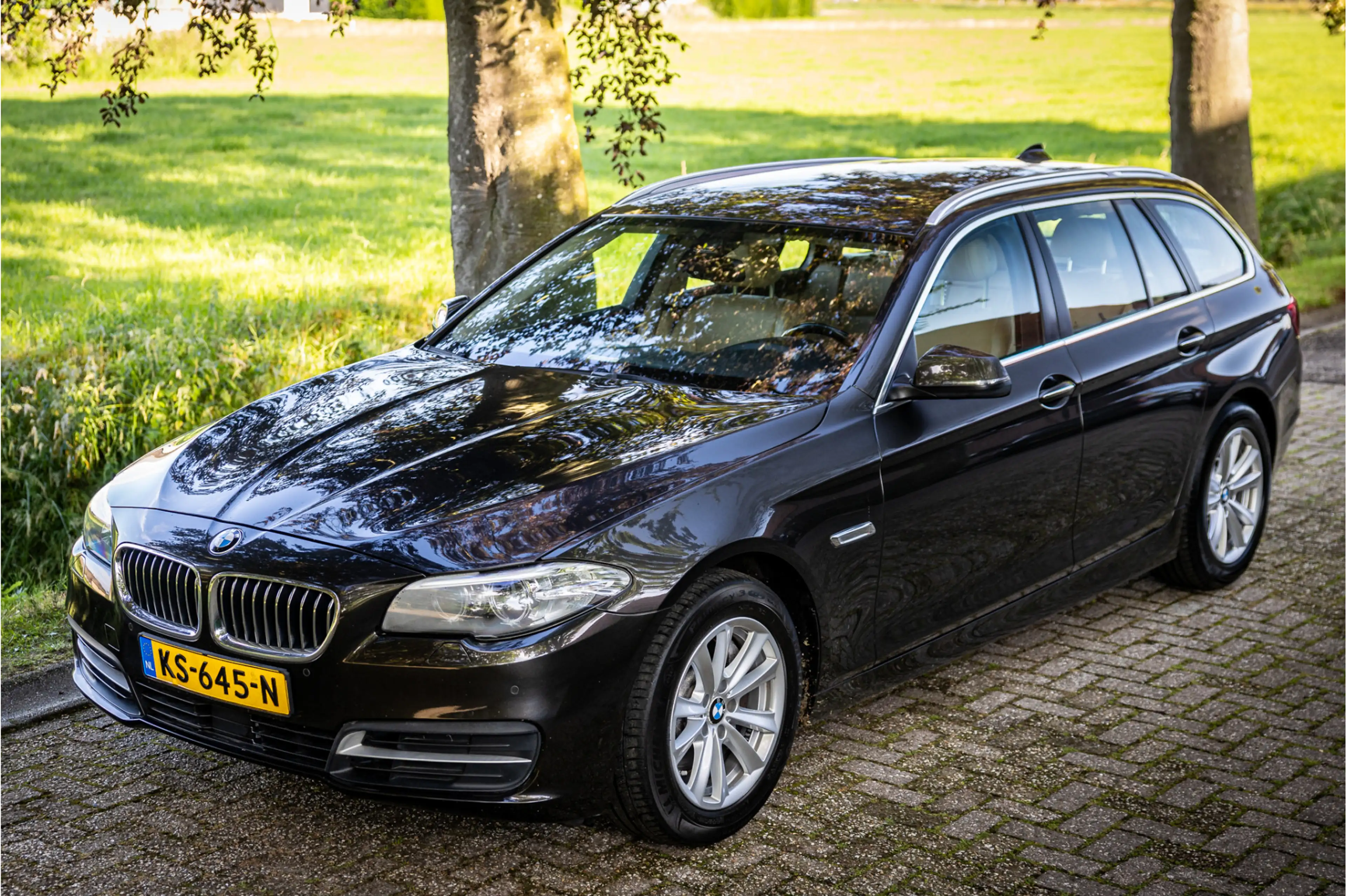 BMW 528 5-serie Touring 528i High Executive Adaptive Cruis — photo 13