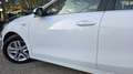 Kia Ceed / cee'd 1.0 T-GDI Eco-Dynamics Drive 100 Biały - thumbnail 14