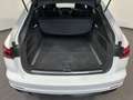 Audi A6 Avant 40 2.0 TDI S line S tronic Bianco - thumbnail 6