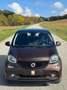 smart forFour forfour passion/Panorama/Kamera/Ambiente Braun - thumbnail 13