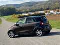 smart forFour forfour passion/Panorama/Kamera/Ambiente Braun - thumbnail 12