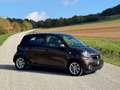 smart forFour forfour passion/Panorama/Kamera/Ambiente Braun - thumbnail 6
