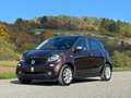smart forFour forfour passion/Panorama/Kamera/Ambiente Braun - thumbnail 15