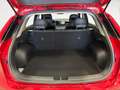 Kia Niro 1.6 HEV Drive 129 Rojo - thumbnail 6