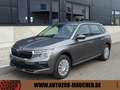 Skoda Kamiq 1.0 TSI DSG  Selection Kamera/Matrix Gris - thumbnail 1