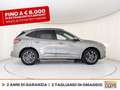 Ford Kuga 2.5 phev st-line x 2wd 225cv cvt Grigio - thumbnail 5