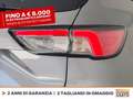Ford Kuga 2.5 phev st-line x 2wd 225cv cvt Grigio - thumbnail 17