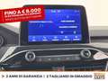 Ford Kuga 2.5 phev st-line x 2wd 225cv cvt Grigio - thumbnail 24