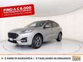 Ford Kuga 2.5 phev st-line x 2wd 225cv cvt Grigio - thumbnail 1