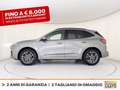 Ford Kuga 2.5 phev st-line x 2wd 225cv cvt Grigio - thumbnail 3
