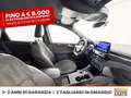 Ford Kuga 2.5 phev st-line x 2wd 225cv cvt Grigio - thumbnail 6