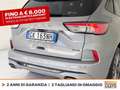 Ford Kuga 2.5 phev st-line x 2wd 225cv cvt Grigio - thumbnail 18