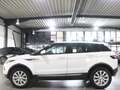 Land Rover Range Rover Evoque 2.0 D SE WHITE&BLACK PANORAMA Weiß - thumbnail 7