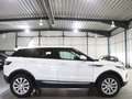 Land Rover Range Rover Evoque 2.0 D SE WHITE&BLACK PANORAMA Weiß - thumbnail 8