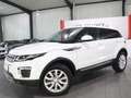 Land Rover Range Rover Evoque 2.0 D SE WHITE&BLACK PANORAMA Weiß - thumbnail 5