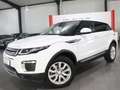 Land Rover Range Rover Evoque 2.0 D SE WHITE&BLACK PANORAMA Weiß - thumbnail 4
