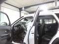Land Rover Range Rover Evoque 2.0 D SE WHITE&BLACK PANORAMA Weiß - thumbnail 17