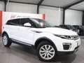 Land Rover Range Rover Evoque 2.0 D SE WHITE&BLACK PANORAMA Weiß - thumbnail 3