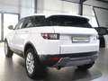 Land Rover Range Rover Evoque 2.0 D SE WHITE&BLACK PANORAMA Weiß - thumbnail 9