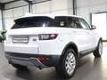 Land Rover Range Rover Evoque 2.0 D SE WHITE&BLACK PANORAMA Weiß - thumbnail 10