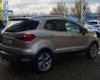 Ford EcoSport 1.0 EcoBoost Titanium Beige - thumbnail 5