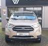 Ford EcoSport 1.0 EcoBoost Titanium Beige - thumbnail 2