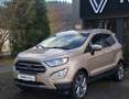 Ford EcoSport 1.0 EcoBoost Titanium Beige - thumbnail 3
