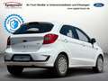 Ford Ka/Ka+ KA+ Basis KLIMAANLAGE BT 8 FACH Weiß - thumbnail 3