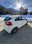 Kia Rio Rio 1,2 MPI Österreich Edition Österreich Edition Weiß - thumbnail 5