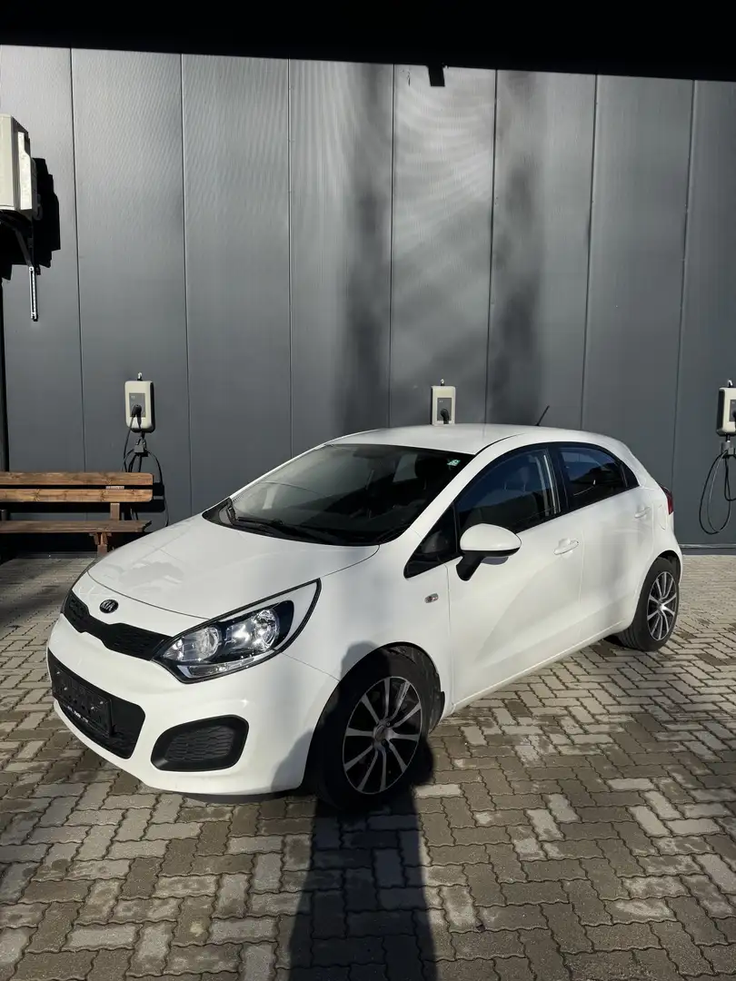 Kia Rio Rio 1,2 MPI Österreich Edition Österreich Edition Weiß - 1