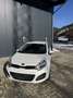 Kia Rio Rio 1,2 MPI Österreich Edition Österreich Edition Weiß - thumbnail 2