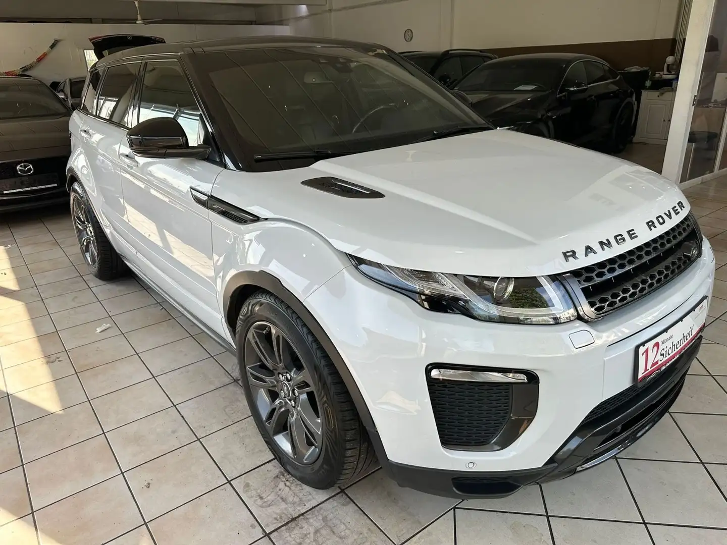 Land Rover Range Rover Evoque SE  2,0 Td4 Dynamic Panoramad Blanco - 1