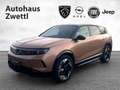 Opel Grandland GS Elektro 213 PS 73kWh Braun - thumbnail 1