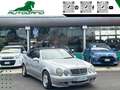 Mercedes-Benz CLK 230 Kompressor cat Cabrio Elegance*OttimeCondizioni Grigio - thumbnail 2