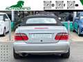 Mercedes-Benz CLK 230 Kompressor cat Cabrio Elegance*OttimeCondizioni Grigio - thumbnail 5