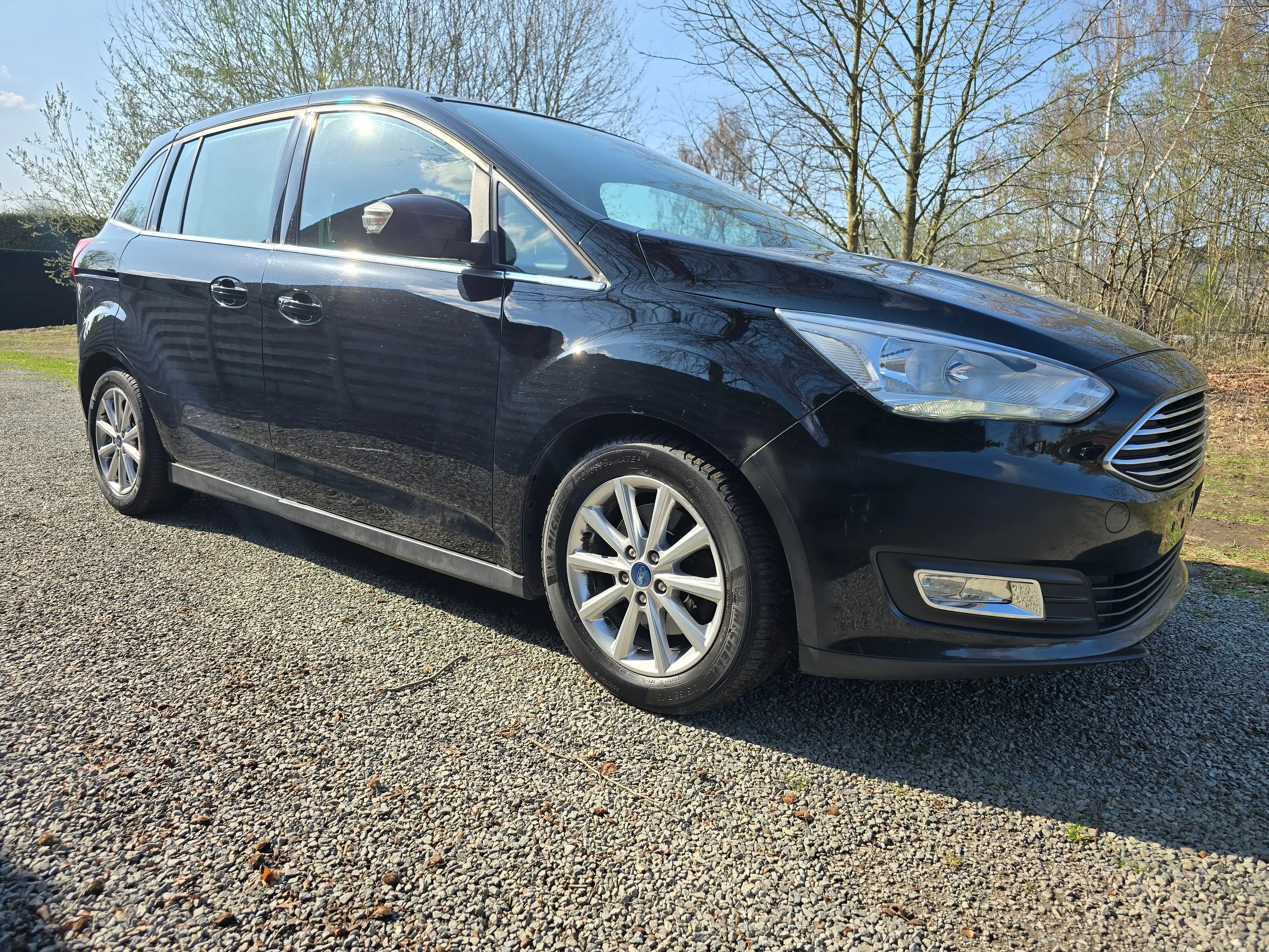 Ford Grand C-Max Grand C-Max 1.5 EcoBoost Titanium Start-Stop — photo 3