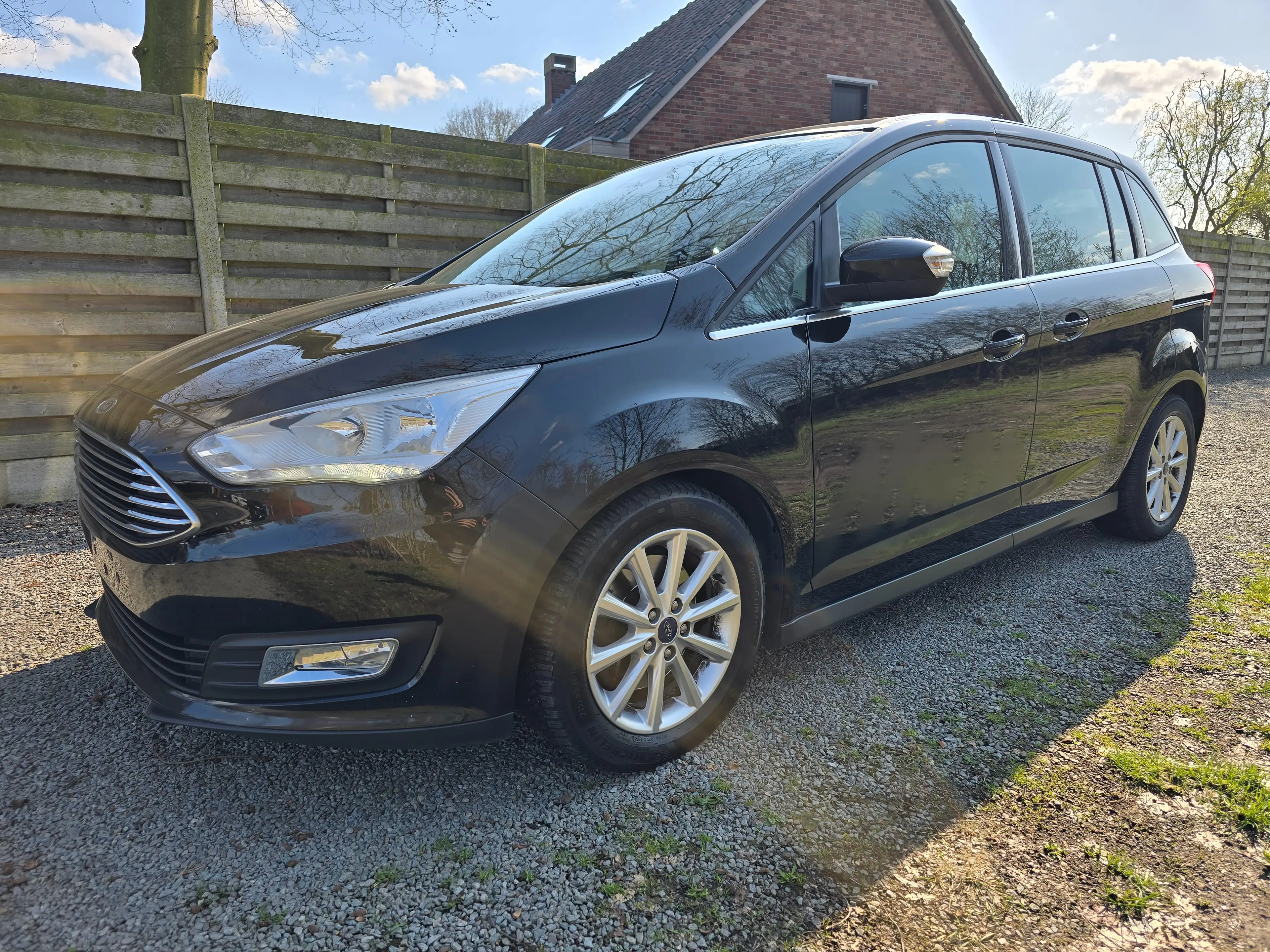 Ford Grand C-Max Grand C-Max 1.5 EcoBoost Titanium Start-Stop