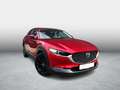 Mazda CX-30 2.0 e-SkyActiv-G M Hybrid Comfort bose / 360 camer Rosso - thumbnail 10