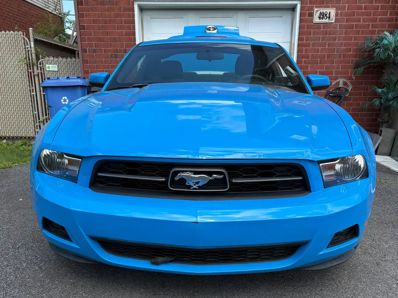 Ford Mustang снимка Ford Mustang