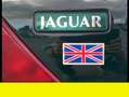 Jaguar XJ6 - thumbnail 11