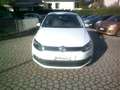 Volkswagen Polo Polo V 2014 5p 1.4 tdi Trendline75cv Blanc - thumbnail 2