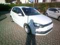 Volkswagen Polo Polo V 2014 5p 1.4 tdi Trendline75cv Blanc - thumbnail 3