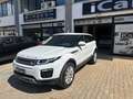 Land Rover Range Rover Evoque 2.0 td4 HSE Dynamic 150cv auto Weiß - thumbnail 4