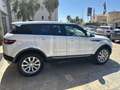 Land Rover Range Rover Evoque 2.0 td4 HSE Dynamic 150cv auto Weiß - thumbnail 5