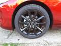 Mazda 3 2.5 e-Skyactiv-G 140cv M Hybrid Homura Rosso - thumbnail 5